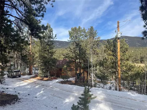 203 Neal St, Bailey, CO 80421 photo 3