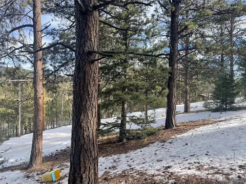 203 Neal St, Bailey, CO 80421 photo 6
