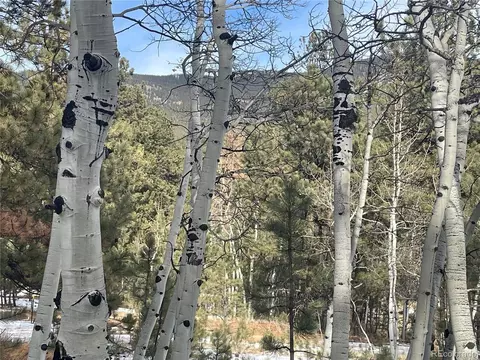 203 Neal St, Bailey, CO 80421 photo 11