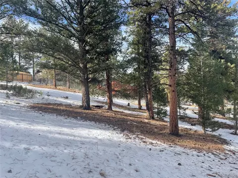 203 Neal St, Bailey, CO 80421 photo 5