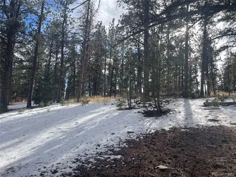 203 Neal St, Bailey, CO 80421 photo 7