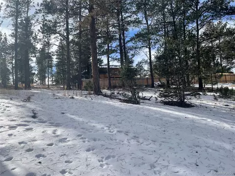 203 Neal St, Bailey, CO 80421 photo 4