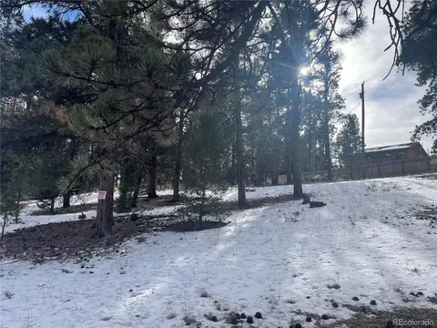 203 Neal St, Bailey, CO 80421 photo 10