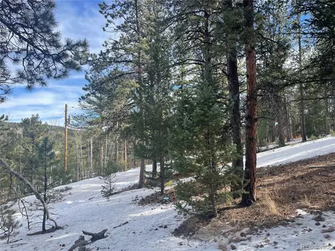 203 Neal St, Bailey, CO 80421 photo 8