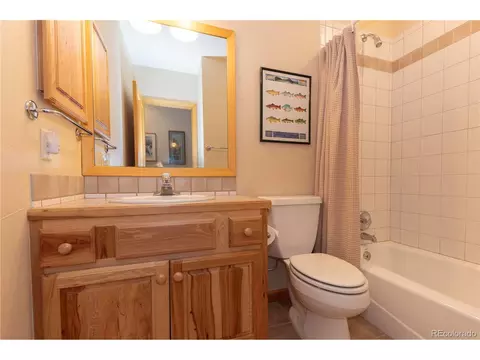760 Penstemon Rd, Keystone, CO 80435 photo 31