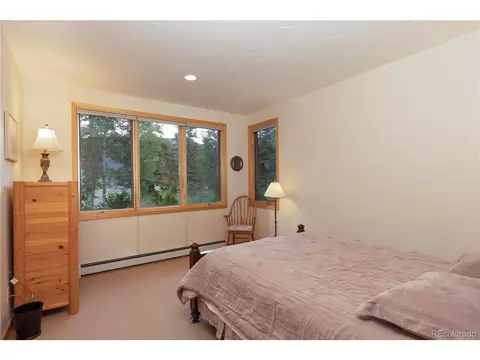 760 Penstemon Rd, Keystone, CO 80435 photo 28