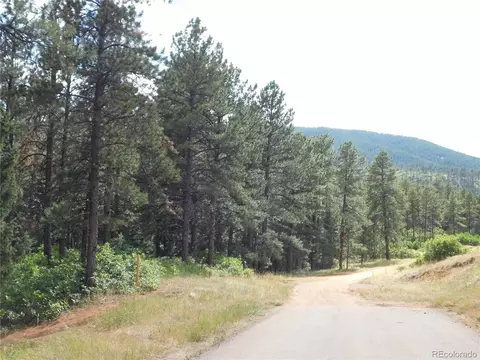 8169 Bannock Dr, Larkspur, CO 80118