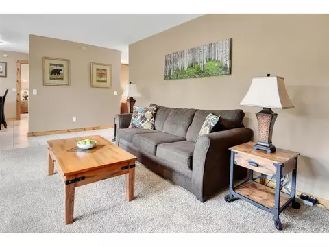 91 Hickory Dr, Lyons, CO 80540 photo 5