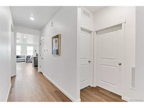 5013 Abigar St, Windsor, CO 80528 photo 3
