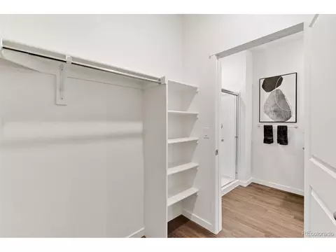 5013 Abigar St, Windsor, CO 80528 photo 14