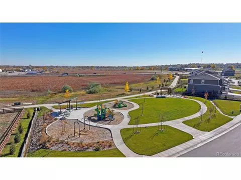 5013 Abigar St, Windsor, CO 80528 photo 21