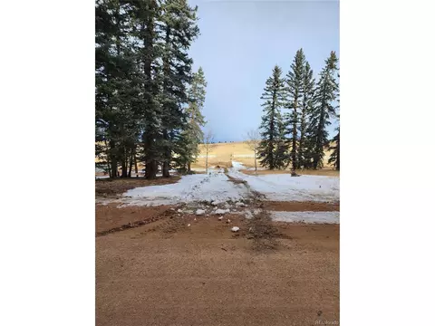 193 Joshua Rd, Divide, CO 80814 photo 2