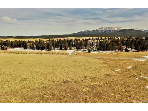 193 Joshua Rd, Divide, CO 80814 photo 8