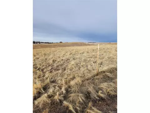 193 Joshua Rd, Divide, CO 80814 photo 3