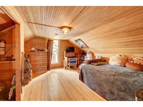 292 E Park Ave, Empire, CO 80438 photo 21