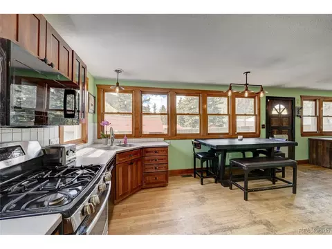 292 E Park Ave, Empire, CO 80438 photo 18