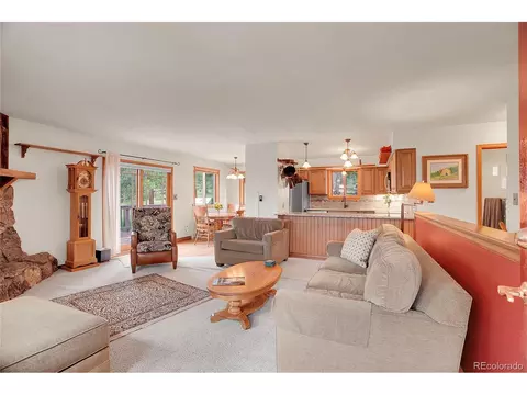 10951 Kitty Dr, Conifer, CO 80433 photo 7
