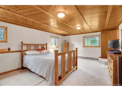 10951 Kitty Dr, Conifer, CO 80433 photo 22