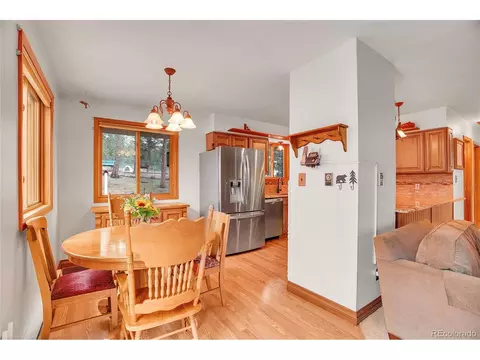 10951 Kitty Dr, Conifer, CO 80433 photo 10