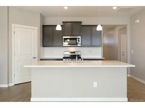 17995 Sky Pilot Ave, Parker, CO 80134 photo 10