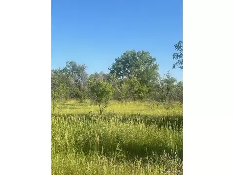 8523 Hygiene Rd, Longmont, CO 80503 photo 8