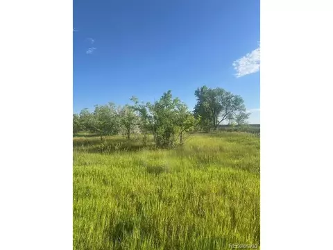 8523 Hygiene Rd, Longmont, CO 80503 photo 10