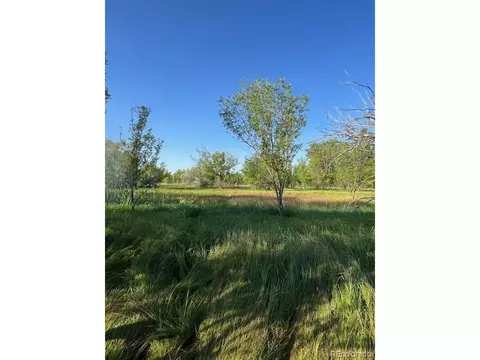 8523 Hygiene Rd, Longmont, CO 80503 photo 16