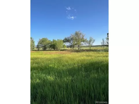 8523 Hygiene Rd, Longmont, CO 80503 photo 13