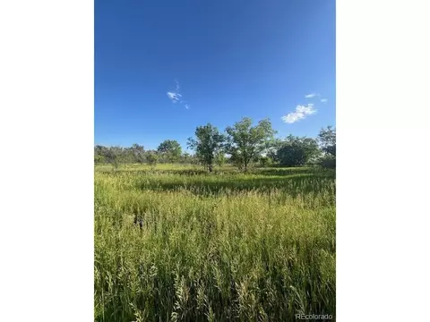 8523 Hygiene Rd, Longmont, CO 80503 photo 7
