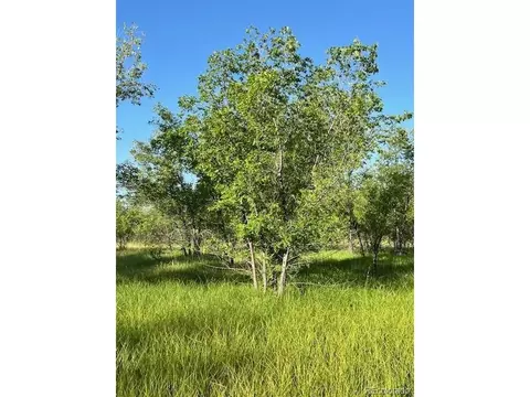 8523 Hygiene Rd, Longmont, CO 80503 photo 17