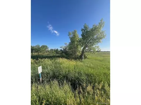 8523 Hygiene Rd, Longmont, CO 80503 photo 6