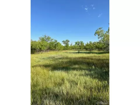 8523 Hygiene Rd, Longmont, CO 80503 photo 11