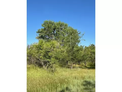 8523 Hygiene Rd, Longmont, CO 80503 photo 12