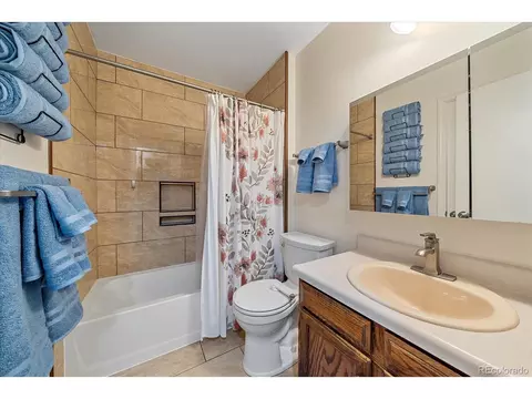 6659 E Rustic Dr, Parker, CO 80138 photo 11