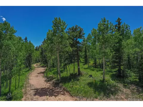 228 Worley Rd, Divide, CO 80814