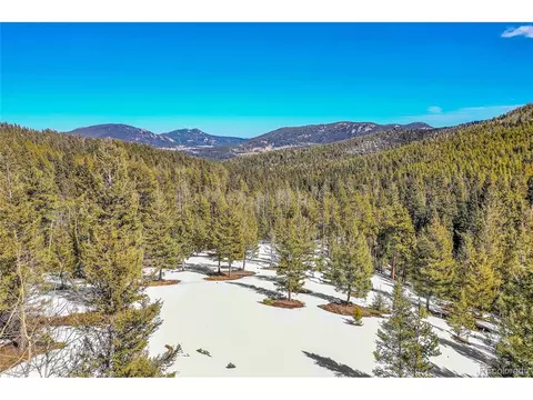 29788 Barney Brook Dr, Conifer, CO 80433