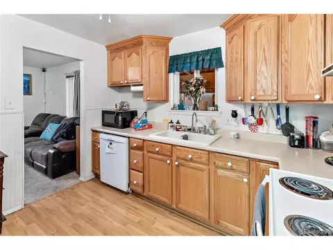 1481 E 84th Pl, Denver, CO 80229 photo 6
