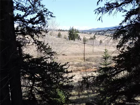 1308 Stagestop Rd, Jefferson, CO 80456