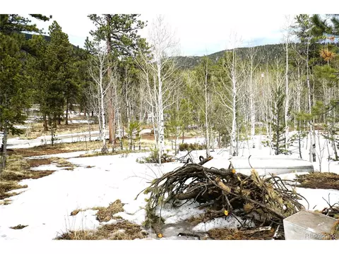 113 Ball Rd, Bailey, CO 80421 photo 18