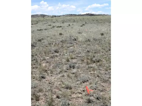 17 Bruin St, Hartsel, CO 80449 photo 5