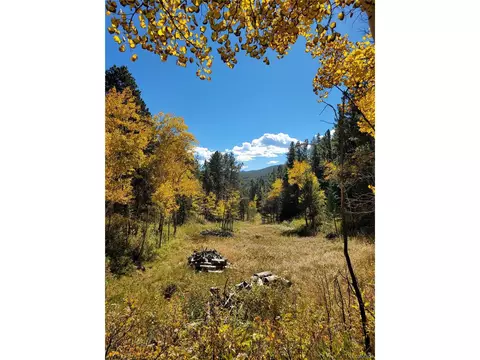 112 Switzerland Trl, Nederland, CO 80466