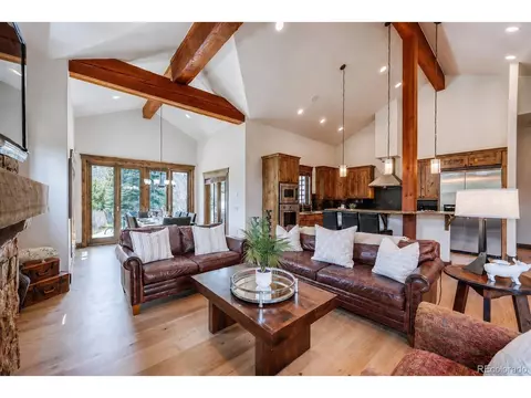 Living - 229 Shores Ln, Breckenridge, CO 80424 photo 3 of 4