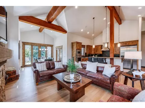 Living - 229 Shores Ln, Breckenridge, CO 80424 photo 1 of 4