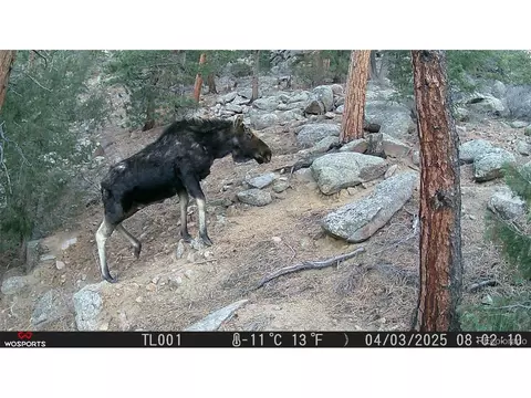 Other - 21005 State Highway 7, Lyons, CO 80540 photo 2 of 4