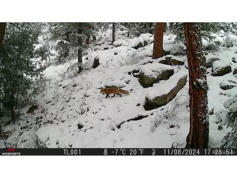 Other - 21005 State Highway 7, Lyons, CO 80540 photo 3 of 4