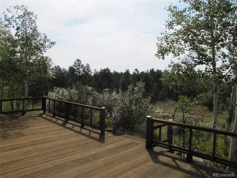 109 Lantern Loop, Hartsel, CO 80449 photo 24