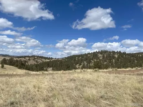 1100 Junkins Loop, Westcliffe, CO 81252 photo 10