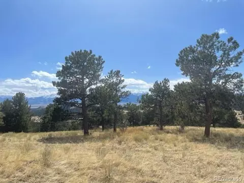 1100 Junkins Loop, Westcliffe, CO 81252 photo 2