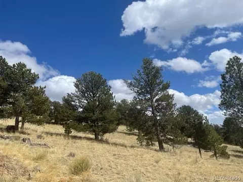 1100 Junkins Loop, Westcliffe, CO 81252 photo 22