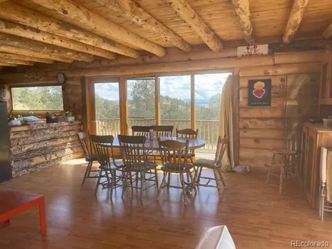 1100 Junkins Loop, Westcliffe, CO 81252 photo 7